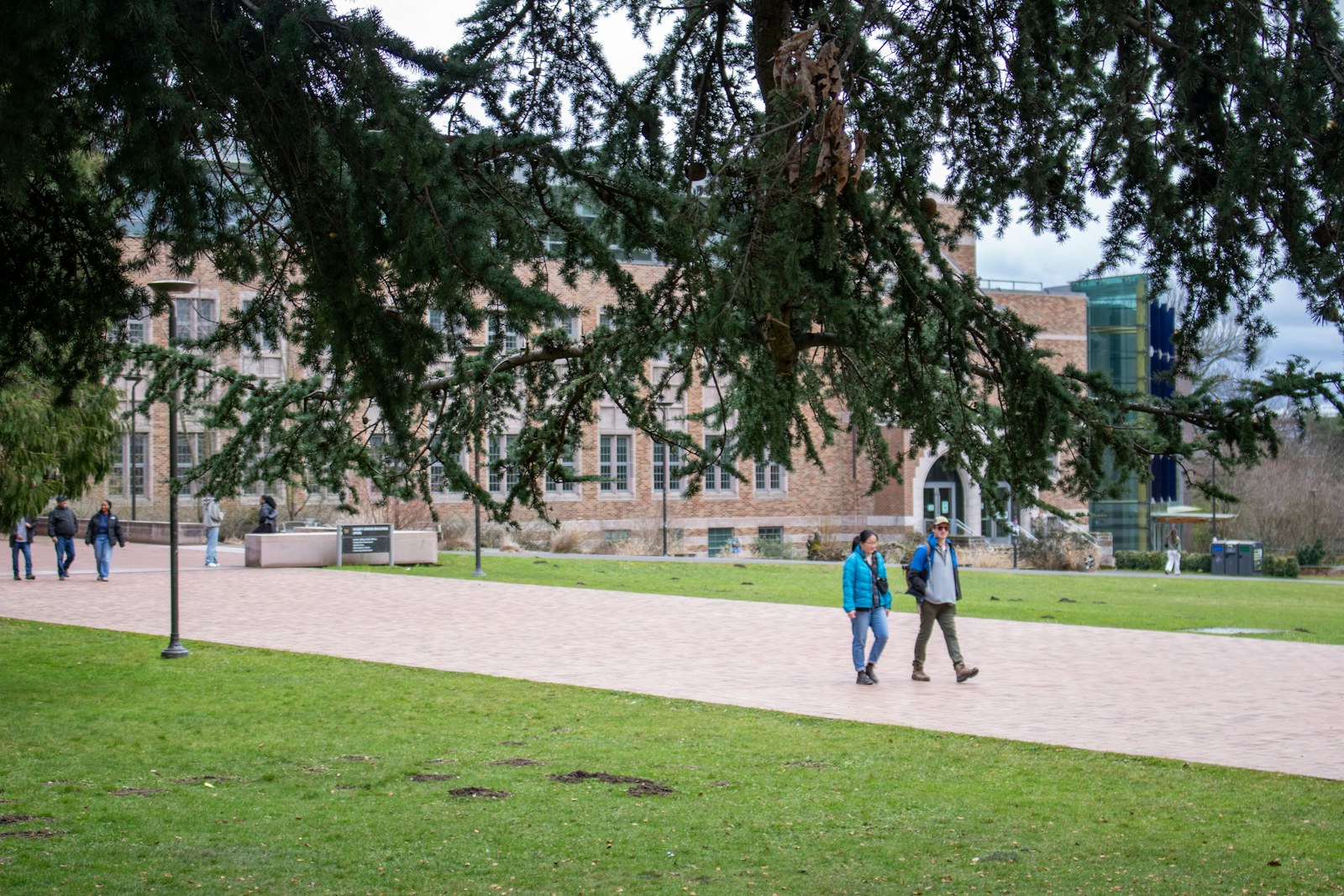 Students walking through a green university campus